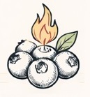 Brightberry Candles